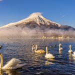 [fujisan]  mas alto de lo que se pensaba