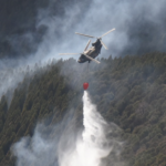 [sanrin kasai] incendio forestal en Nara