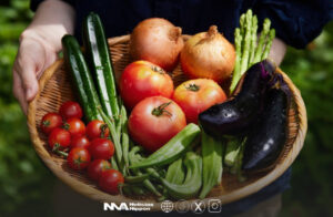 [kinenbi] Yasai no hi