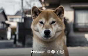 [sns] No fue enfermedad ni destino: fue crueldad