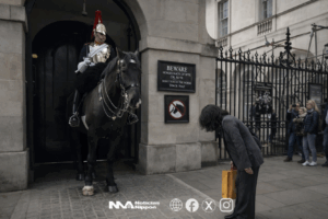 [sns] El turismo también se educa