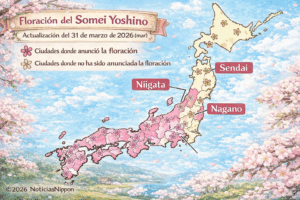 [cerezos en flor]   Una temporada efímera y más intensa