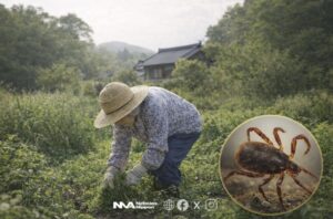 [madani] Alerta en Kumamoto