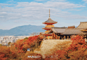 ¡Japón entra en otoño… pero el calor se niega a irse!